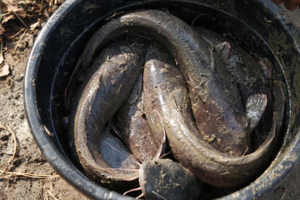 Afe Babalola University Teaching Hospital_337